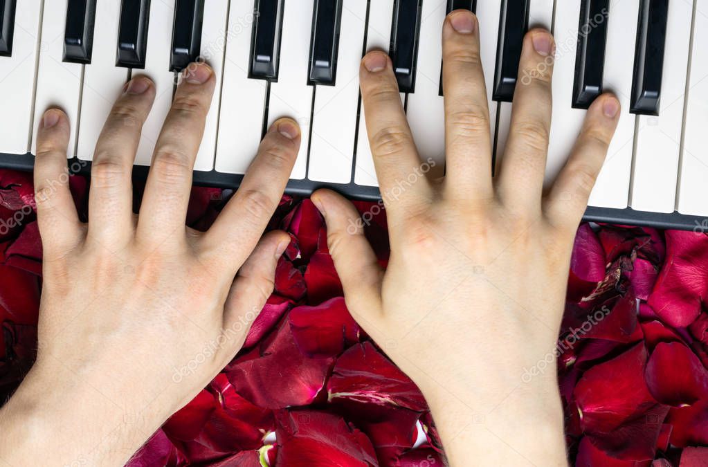 Pianist hands on red rose flower petals playing romantic serenad