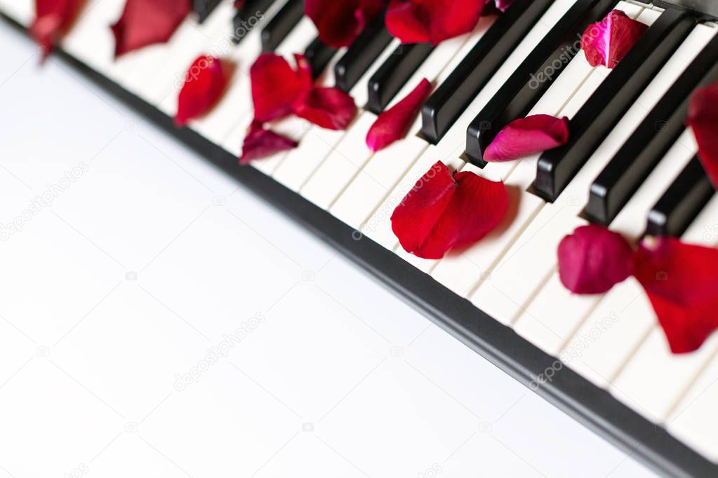 Piano keys strewn with rose petals, isolated, copy space. Piano 