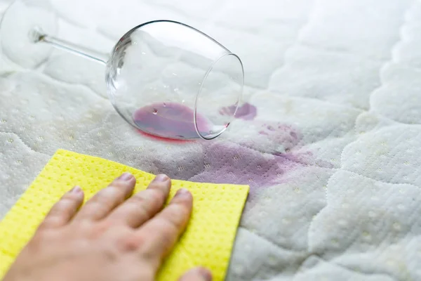 Sponge cleaning wine stain. Dropped wineglass. Spilled wine on w