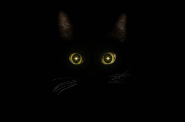 Kara kedi konsepti, karanlık gizemli tarz. Parlayan sarı kedi gözü