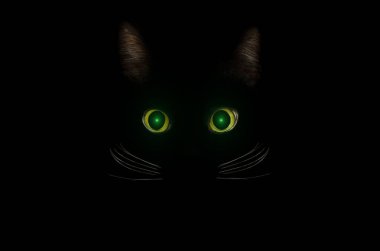 Kara kedi konsepti, karanlık gizemli tarz. Karanlık gecede parlayan yeşil kedi gözleri. Güzel hayvan portresi. Evcil hayvan konsepti.