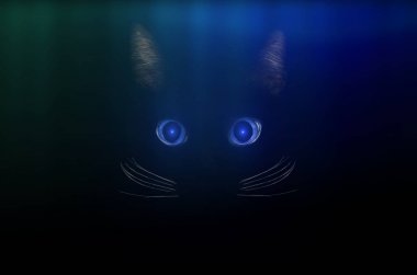 Kara kedi konsepti, karanlık gizemli tarz. Kuzey ışıklarında parlayan mavi kedi gözleri. Güzel hayvan portresi. Evcil hayvan konsepti.