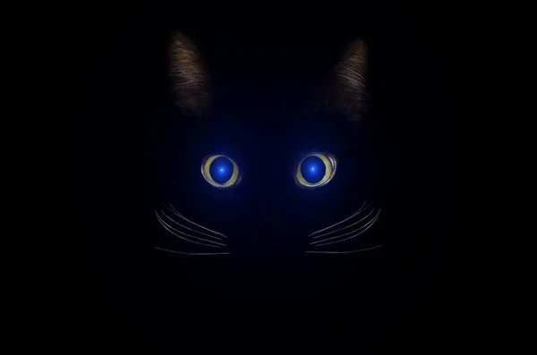 Conceito de gato preto, estilo misterioso escuro. Brilhante olhos azuis de gato — Fotografia de Stock