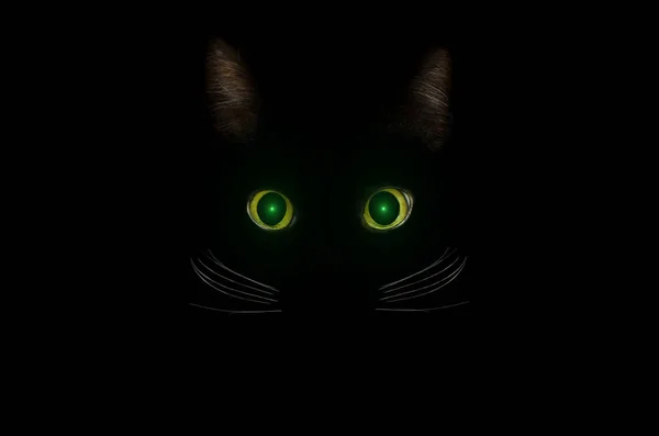 Black Cat Concept, mörk mystisk stil. Glödande grön katt ögon i den mörka natten. Vackra djur porträtt. Inrikes PET Concept. — Stockfoto