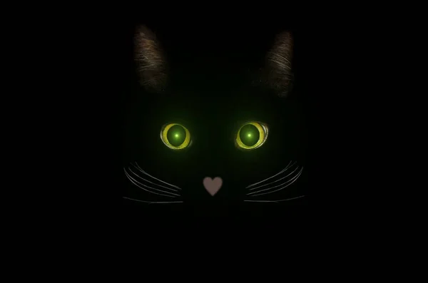 Cute black cat concept, dark mysterious style. Glowing cat eyes — Stock Photo, Image
