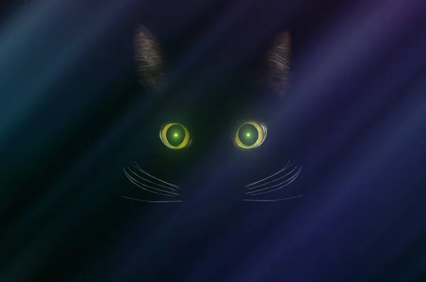 Koncepcja czarnego kota, ciemny tajemniczy styl. Żółty kot oczy w — Zdjęcie stockowe
