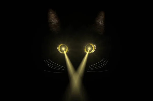 Conceito de gato preto, estilo misterioso escuro. Raio de luz amarela fr — Fotografia de Stock