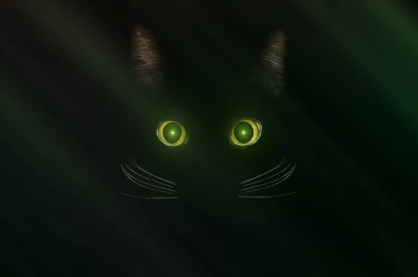 Black cat concept, dark mysterious style. Glowing green cat eyes