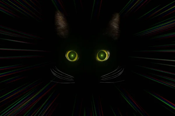 Black cat concept, dark mysterious style. Green cat eyes in the