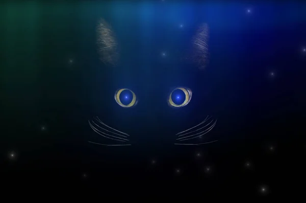 Conceito de gato preto entre céu estrelado, estilo misterioso escuro. Glowi. — Fotografia de Stock