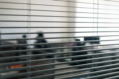 Açık uzay ofisi ve işyerinin önündeki beyaz panjurlar