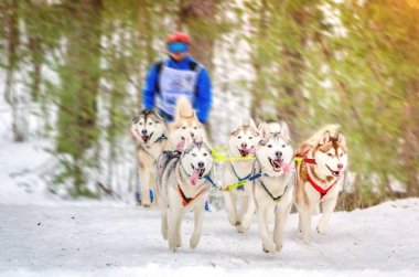 Kentsel yerleşim Reshetiha, Nizhny Novgorod Oblast / Rusya