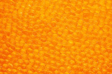 Kırmızı mersin balığı havyarı - küçük balık yumurtası. Yakın çekim