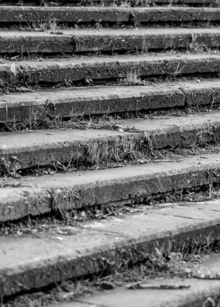 Escalera de hormigón cubierta de hierba, sin barandilla. ¡Viejo! — Foto de Stock