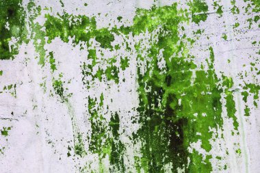 Yeşil boya ile boyanmış eski beton duvar. H için tasarım dokusu