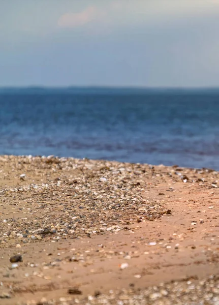 Hermosa vista al mar para el mar salado y la costa de verano con oro s — Foto de Stock