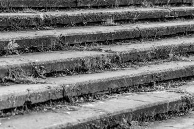 Beton merdiven, korkuluk olmadan, çim ile büyümüş. Eski ou