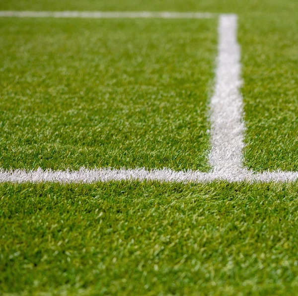 Doku suni ot ot kapak spor alanı. Bu kullanılır 