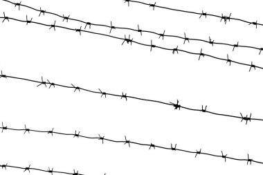 Ülke sınırında izole edilmiş dikenli tel. Barbwire pr için çit üzerinde