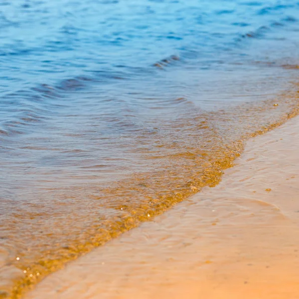 Hermosa costa de verano junto al mar con arena dorada. Relajarse al aire libre — Foto de Stock