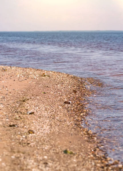 Hermosa costa de verano junto al mar con arena dorada. Relajarse al aire libre —  Fotos de Stock