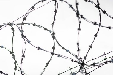 Ülke sınırında dikenli tel. Barbwire yasağı için çit üzerinde