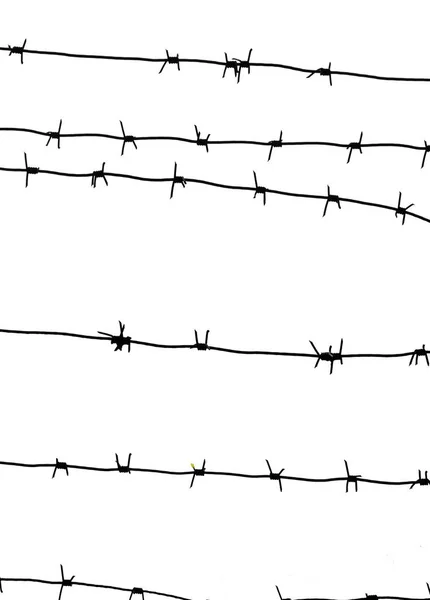 Izolovaná ostnatým drátem na hranici země. Bardrát na plotě pro PR — Stock fotografie