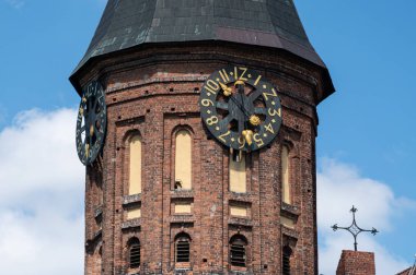 Konigsberg Katedrali saat kulesi. Kaliningrad, Rusya'da Tuğla Gotik tarzı anıt. Immanuel Kant adası.