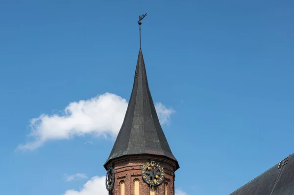 Clock tower of Konigsberg Cathedral. Brick Gothic-style monument in Kaliningrad, Russia. Immanuel Kant island. — Stock Photo, Image