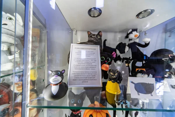 Zelenogradsk, Rusia - 06.18.2019 - Museo de gatos de Murarium. Colección de gatos de arte en la torre de agua Krantz. Recuerdos, estatuillas y juguetes con gatos — Foto de Stock