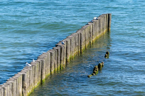 Breakwater on beach. Wooden sea separator. Beautiful seascape. Protection holidaymakers from effects of both weather and longshore drift. — Stock Photo, Image