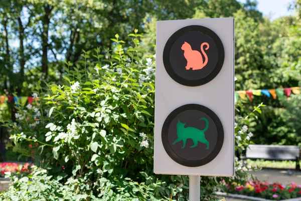 Semáforo con gatos. Divertido concepto de semáforo para niños y padres en el jardín de la ciudad. Luz verde en —  Fotos de Stock