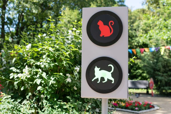 Semáforo con gatos. Divertido concepto de semáforo para niños y padres en el jardín de la ciudad. Luz verde en —  Fotos de Stock