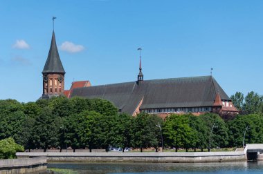 Konigsberg Katedrali. Kaliningrad, Rusya'da Tuğla Gotik tarzı anıt. Immanuel Kant adası.