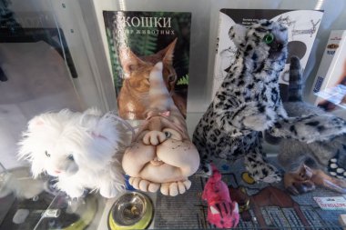 Zelenogradsk, Rusya - 06.18.2019 - Murarium kediler müzesi. Krantz su kulesinde sanat kedileri koleksiyonu. Kedilerle hatıralar, heykelcikler ve oyuncaklar