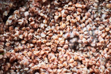 Küflü karabuğday, makro, kapat kabarık mantar sporları karabuğdayda büyüyor. Buzdolabında küflü yiyecekler var. Yenmez, yenmez yiyecekler..