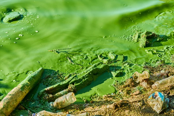 Загрязнение Окружающей Среды Загрязненная Река Грязная Зеленая Вода Мусор Отходы — стоковое фото