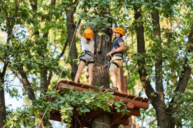 Voronezh, Rusya - 25.08.2019 - yüksek iplerdeki kız macera ağacı parkı tecrübesi yaşıyor. Ağaçlardaki halat yolu parkuru. Macera halat parkına tırmanıyorum. Tahta köprü ve yüksek tel etkinliği.