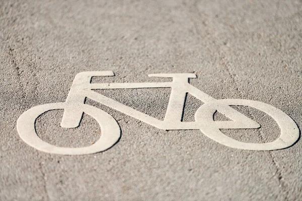 Bicycle sign on road. Bike lane sign - only bikes allowed. Road marking on park asphalt