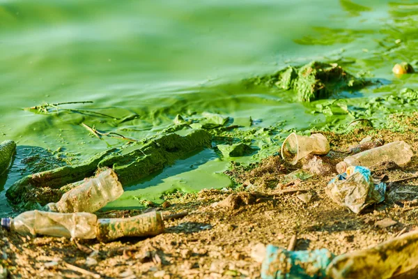 Poluição Água Ambiental Rio Poluído Água Verde Suja Lixo Lixo — Fotografia de Stock