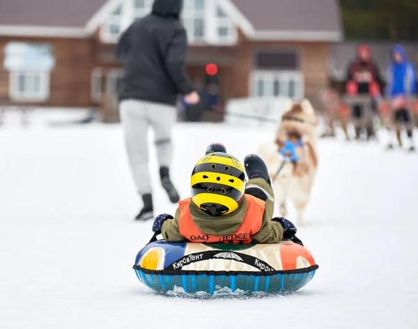 Verkhoshizhemye ロシア 2020 そり犬と雪のチューブに小さな子供 面白い冬のスポーツ活動 インナーチューブに乗る 休日の幸せな家族のレジャー スノーチューブ — ストック写真