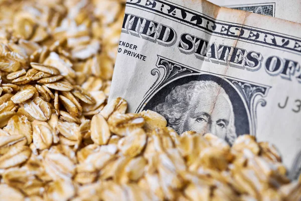 Dollar money in oat flakes. Oat export prices, economic concept. Decrease or increase in price of rolled oats production. American dollar in scattering of oatmeal groats.