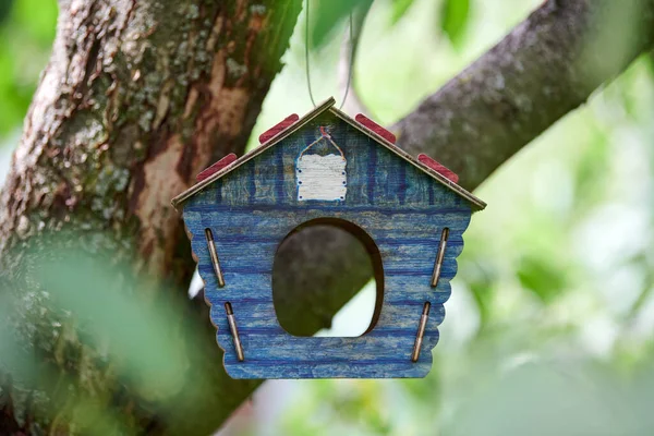 Vogelhuis Aan Boom Tak Appelboom Met Vogelhuisje Leuke Blauwe Nestbox — Stockfoto