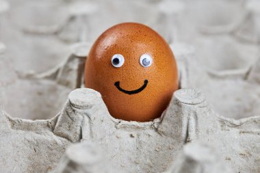 Kağıt yumurta tepsisindeki komik paskalya tavuğu suratı. Taze doğal yumurta, kopyalama alanı. Günaydın, kahvaltı duygu konsepti. Zararsız kalite dağıtımı.