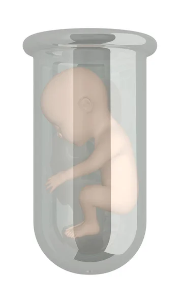 Menselijke Embryo Vitro Geïsoleerd Wit Rendering — Stockfoto