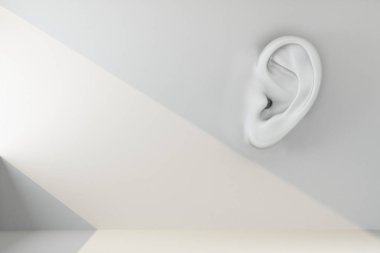 konsept duvarların kulakları var