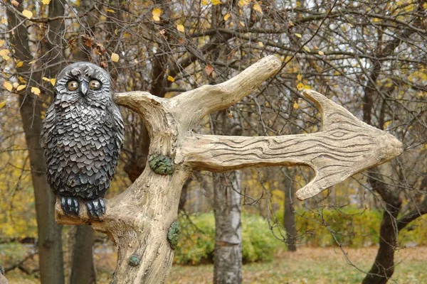 Baykuş bir ağaçta oturuyor. Baykuş dal bir işaretçi ile oturuyor. Ok sağa hareket yönü gösterir. Kuzey Tushino Park. Moskova, Rusya. Ekim 2018.