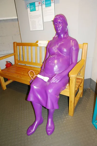 Hamile kadın. Sergi odada bir bankta oturuyor. Moskova, Rusya'da yaşayan sistemler müzesi. Kasım 2018.