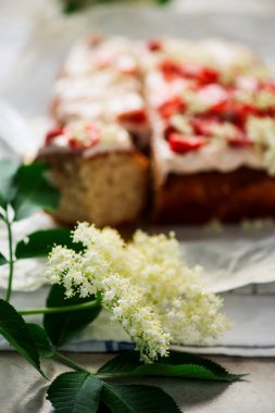 Çilek, limon ve Elderflower Cake.vintage style.selective odak