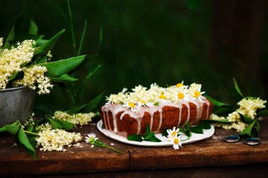 Vegan elderflower bal limon cake.rustic style.selective odak Çiseleme
